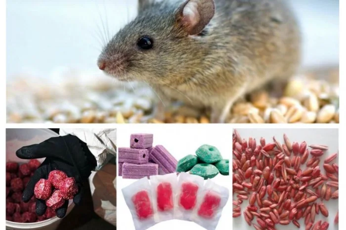 АНТИМЫШИН АНТИМИШИН препарат для борьбы с грызунами – крысами, мышами и полевками- фото № 1