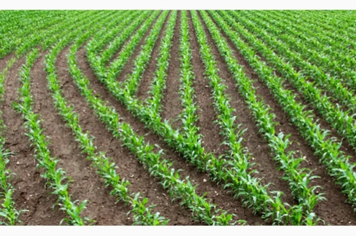 Система дифференциального внесения материалов trimble field-iq система точного земледелия- фото № 2