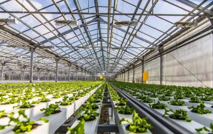 Продам теплицы Антрацит 399 гривен метр- фото № 2