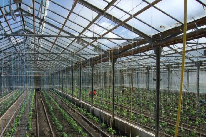 Продам теплицы Антрацит 399 гривен метр- фото № 3