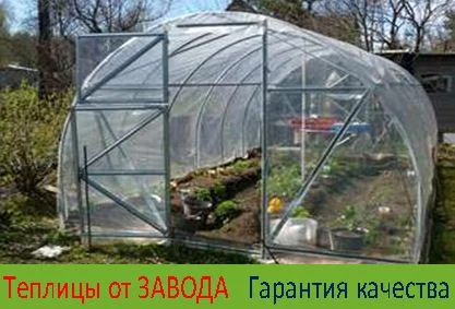 Теплица " Славяночка" с поликарбонатом.Теплица "Урожайная" с пленкой. ЗАВОД ТЕПЛИЦ- фото № 5