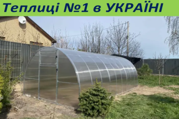 Качественная- фото № 1