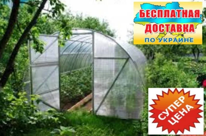 Теплицы пленочные- фото № 1