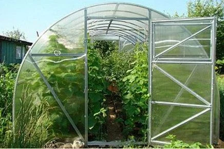 Теплиця "Врожайна" з плівкою від виробника.3х4 3х6 3х8 3х10- фото № 1