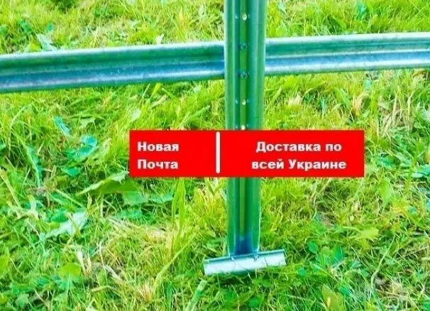 Теплицы с ПЛЕНКОЙ от производителя. ЗАВОД ТЕПЛИЦ.2 ДВЕРИ- фото № 4