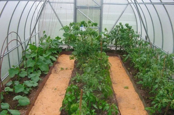 Теплицы с поликарбонатом или пленкой от производителя.3х4 3х6 3х8.4х6 4х8 4х10- фото № 7