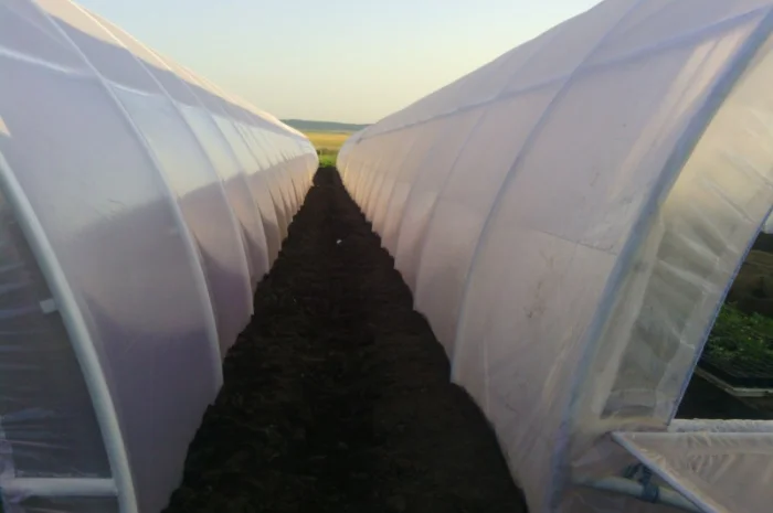 Пленочные теплицы от производителя по доступным ценам- фото № 3