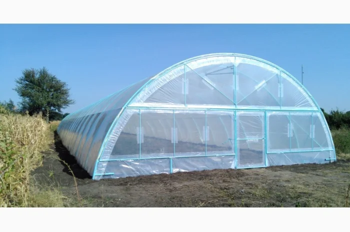 Теплица «Фермерская» 500 м2 с двойной пленкой и шпалерой- фото № 1