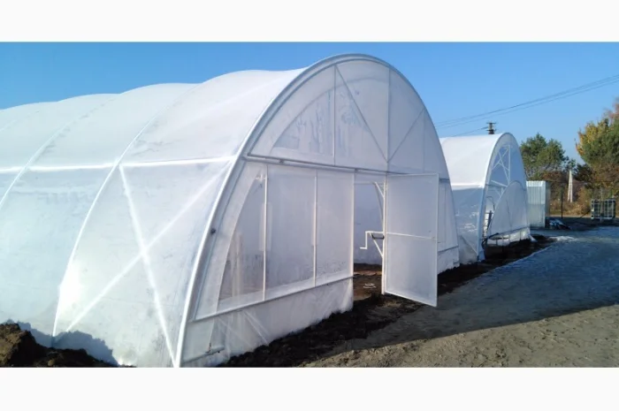 Теплица «Фермерская» 500 м2 с двойной пленкой и шпалерой- фото № 2