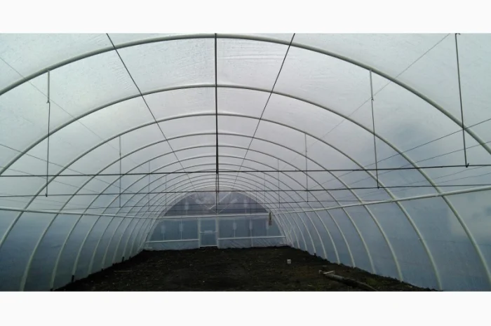 Теплица «Фермерская» 500 м2 с двойной пленкой и шпалерой- фото № 4