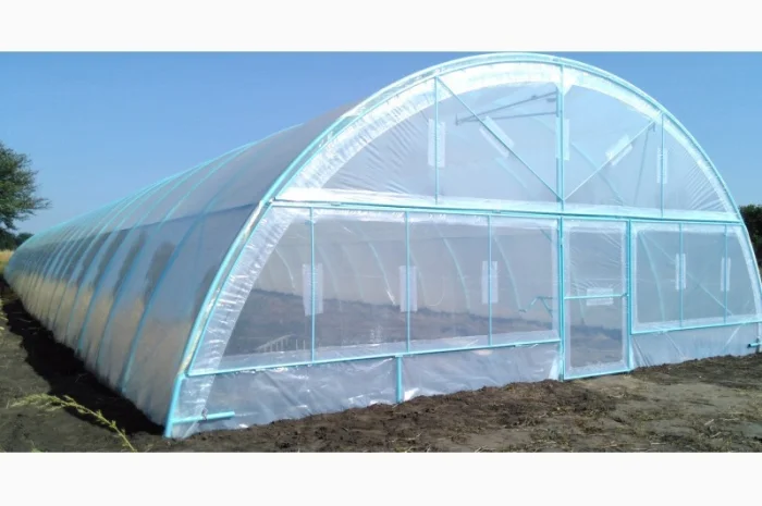 Теплица фермерская 500 м2 пленочная- фото № 2