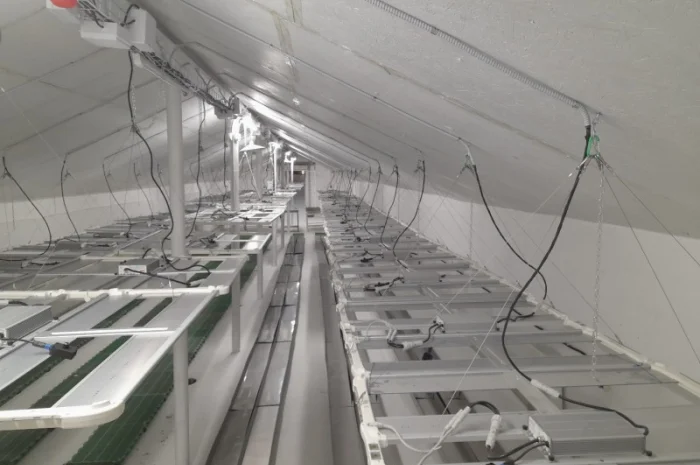 Продаж надприбуткові канабіс теплиці з обігрівом 1500 кв.м- фото № 15