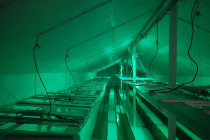 Продаж надприбуткові канабіс теплиці з обігрівом 1500 кв.м- фото № 13