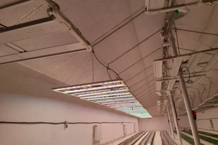 Продаж надприбуткові канабіс теплиці з обігрівом 1500 кв.м- фото № 12