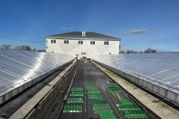 Продаж надприбуткові канабіс теплиці з обігрівом 1500 кв.м- фото № 2