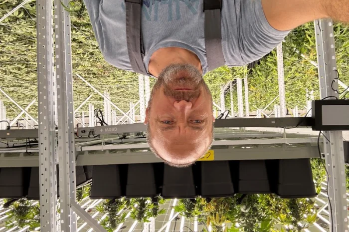 Продаж надприбуткові канабіс теплиці з обігрівом 1500 кв.м- фото № 8