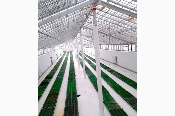 Продаж надприбуткові канабіс теплиці з обігрівом 1500 кв.м- фото № 1