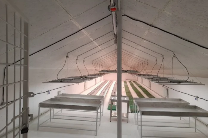 Продаж надприбуткові канабіс теплиці з обігрівом 1500 кв.м- фото № 16