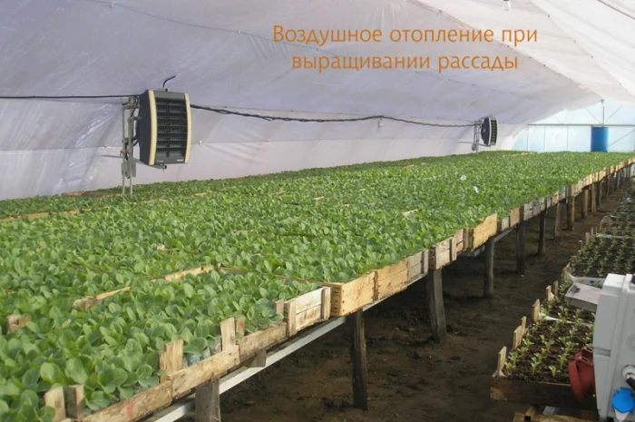 Отопление теплиц- фото № 1