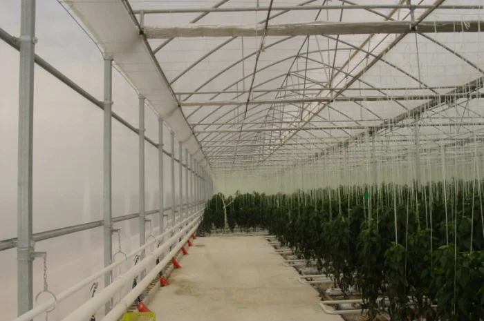 Теплицы, оросительные системы и оборудование пр-ва Испания- фото № 10