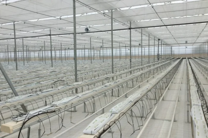 Теплицы, оросительные системы и оборудование пр-ва Испания- фото № 3