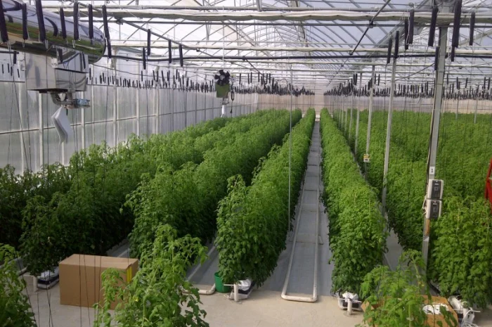 Теплицы, оросительные системы и оборудование пр-ва Испания- фото № 5