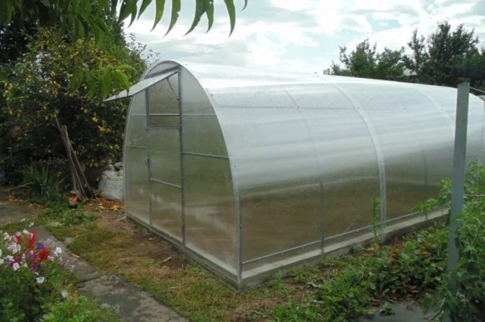 Усиленные теплицы из поликарбоната и под пленку- фото № 1