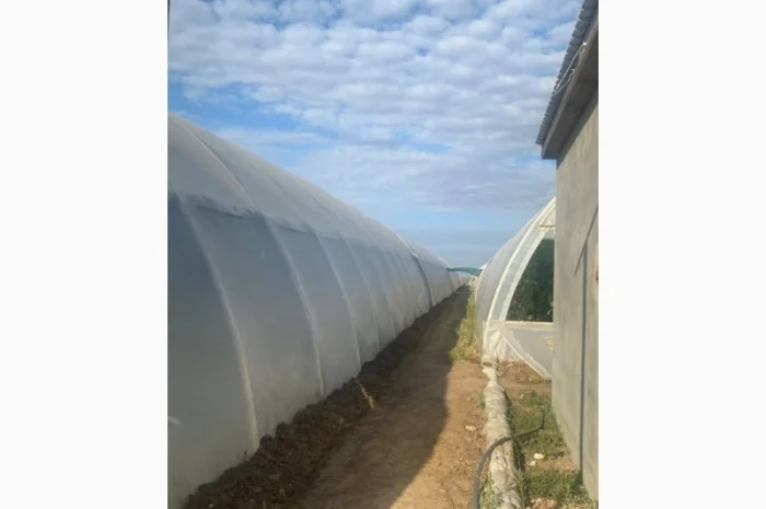 Багатошарова плівка теплична Ватан Пластік- фото № 1