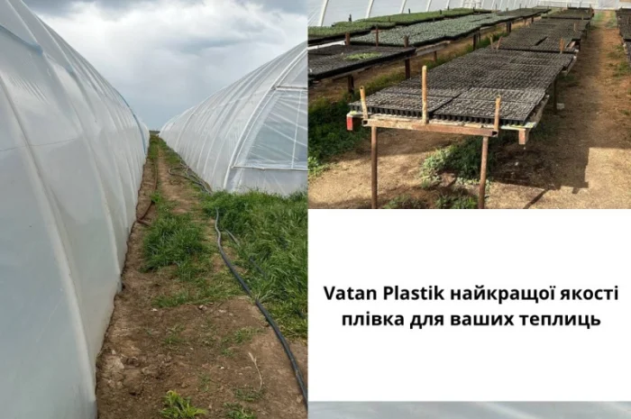 Теплична плівка Vatan Plastik - найкращий захист для вашого успіху- фото № 1