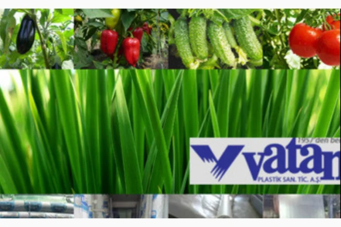 Купити теплична плівка Vatan Plastik, 40 мкм- фото № 1