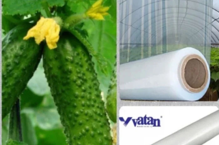 Купити тепличну плівку Vatan Plastik- фото № 1