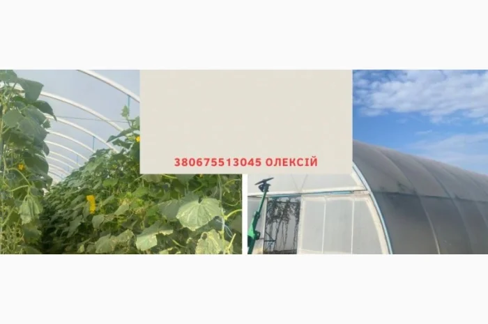 Теплична плівка 5-шарова Ватан Пластик- фото № 1