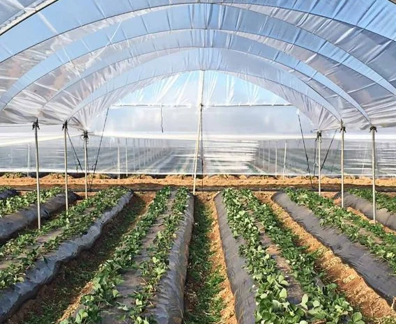 Плівка для теплиць та парників від "ЕкоВіжен"- фото № 2