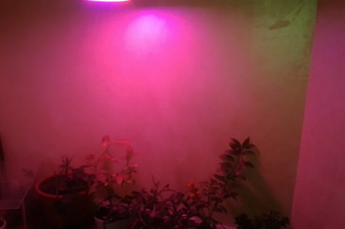 Фитолампа 80Вт Е27- фото № 5