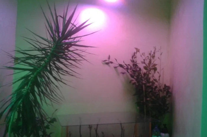 Фитолампа 80Вт Е27- фото № 6