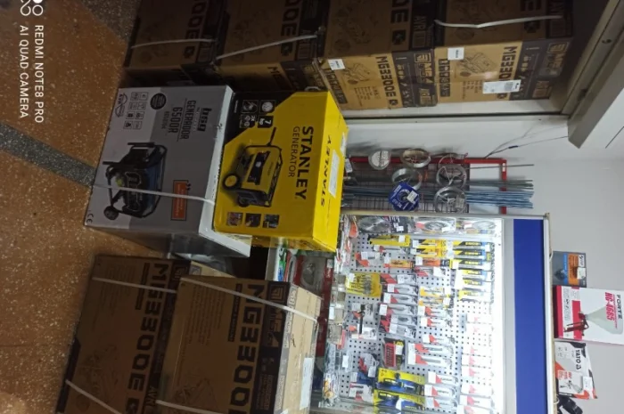 Генератор Omega BSG 6500R- фото № 3