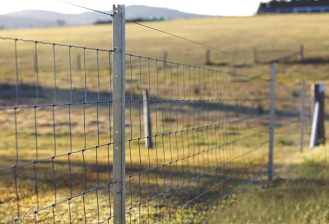 Сетка Казачка облегченная - дешёвый садовый забор- фото № 1