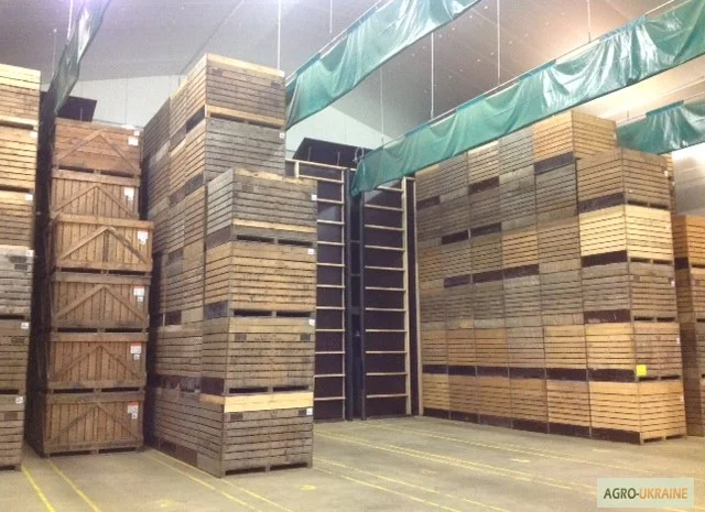 Хранилище чеснока- фото № 2