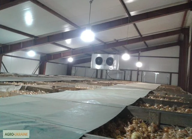 Хранилище чеснока- фото № 4