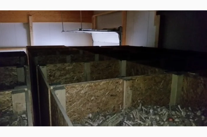 Хранилище чеснока- фото № 1