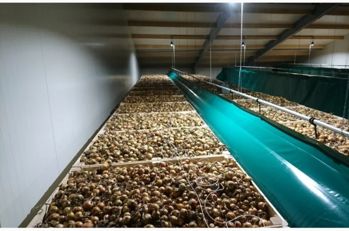 Хранилище чеснока- фото № 6