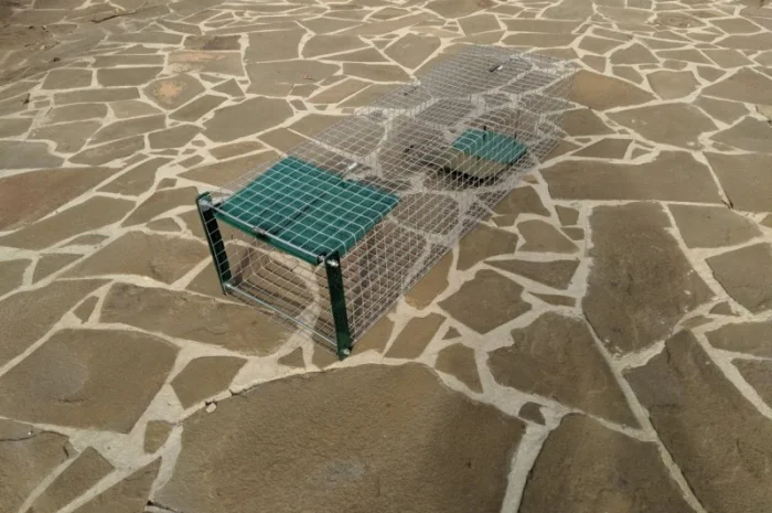 Живоловушка на кота. Метровая живоловка. Котоловка c педалью. Суперкотоловушка- фото № 4