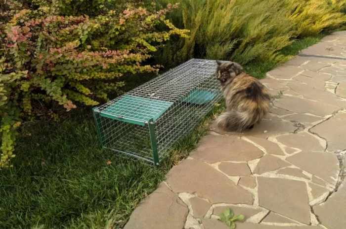 Живоловушка на кота. Метровая живоловка. Котоловка c педалью. Суперкотоловушка- фото № 7