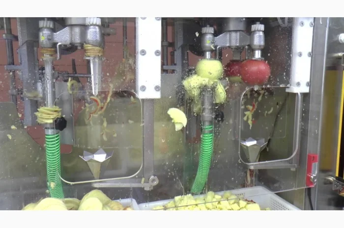 Машина для очистки, нарезания, удаления сердцевины яблок 300-500 кг/час- фото № 1