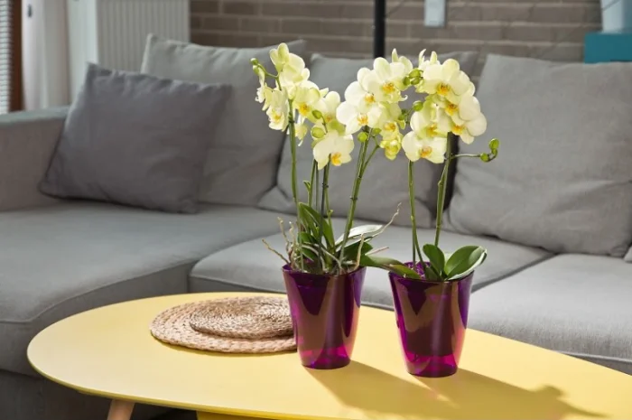 Горшки для цветов, Кашпо. Балконные ящики, Горшки для орхидей- фото № 2