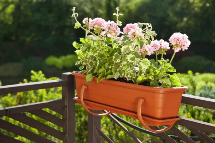 Горшки для цветов, Кашпо. Балконные ящики, Горшки для орхидей- фото № 5