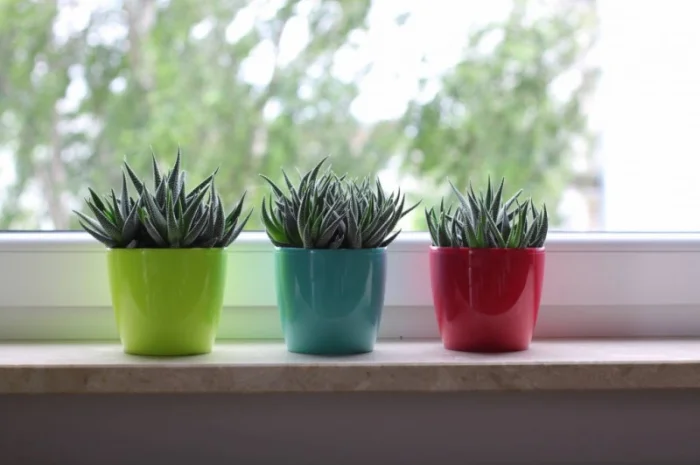 Горшки для цветов, Кашпо. Балконные ящики, Горшки для орхидей- фото № 6