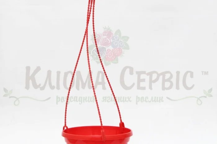 ПІДВІСНІ ГОРЩИКИ ДЛЯ ВАЗОНІВ ТА КВІТІВ (виробництво: Польща та Україна)- фото № 11
