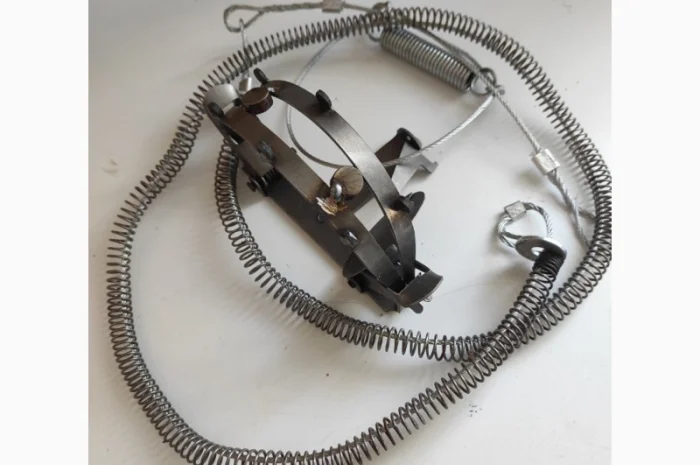 Капкани на кабана- фото № 1