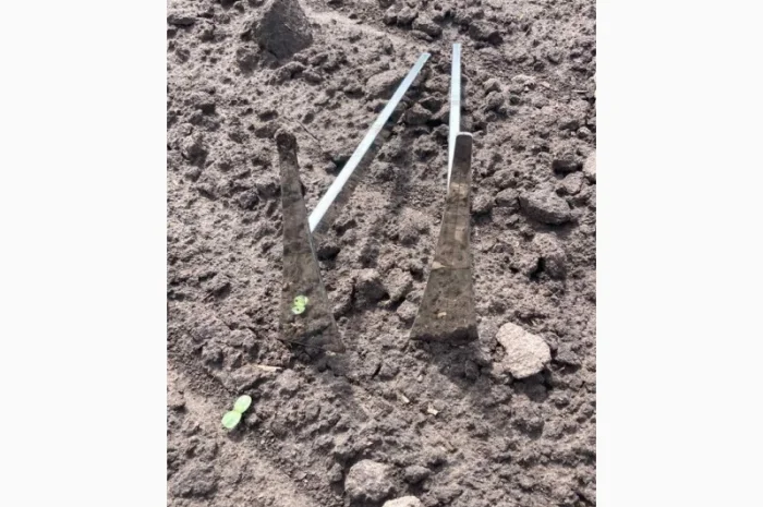 Лопатка для агронома- фото № 3